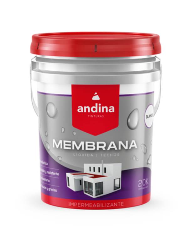 imagen-producto